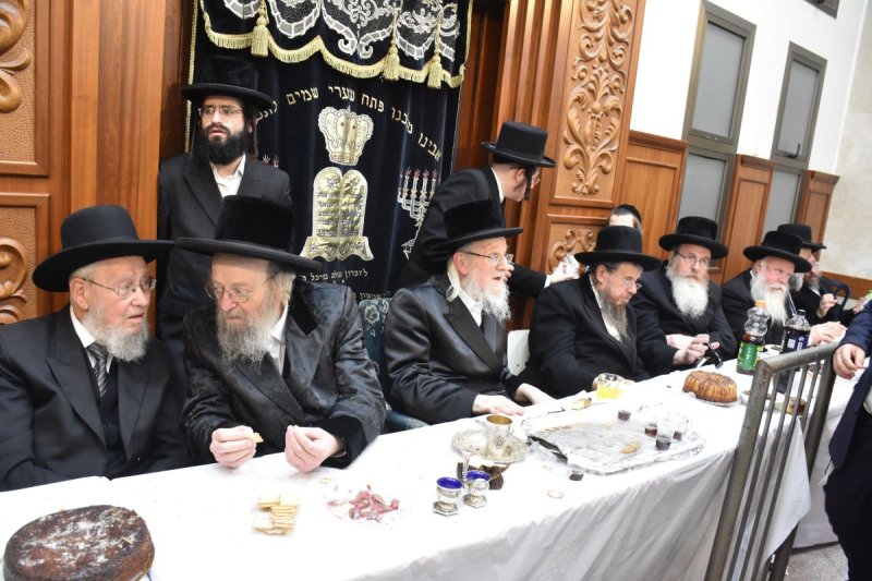 יהודה פרקוביץ