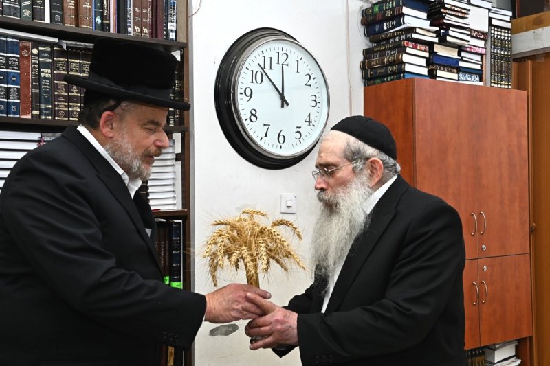שוקי לרר