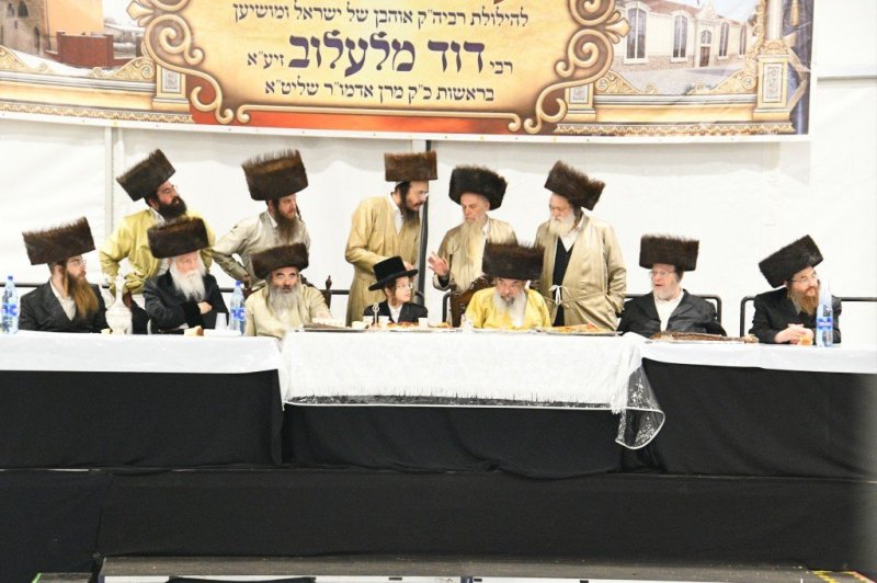 ארי קופרשטוק