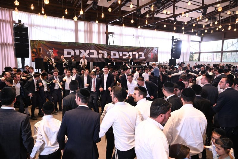 ליפא מוזר