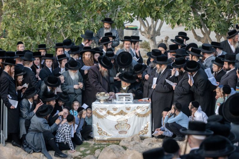 חיים גולדברג - פלאש 90