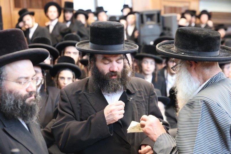 שלומי טריכטר