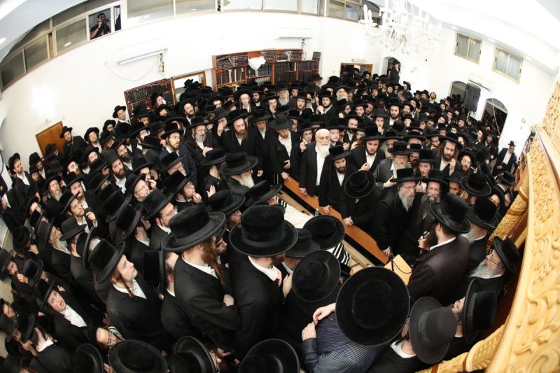 דוד ארזני וארי קופרשטוק