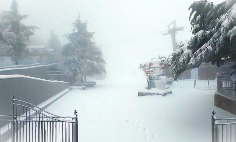 מזג אוויר סוער: החרמון כוסה בשכבת שלג לבנה ומרהיבה | צפו