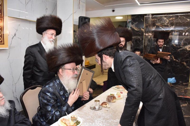 יהודה פרקוביץ