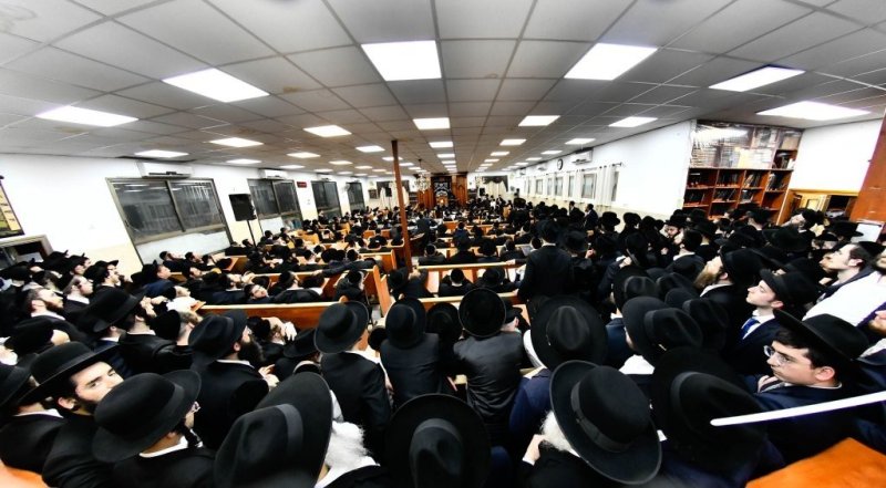 שוקי לרר