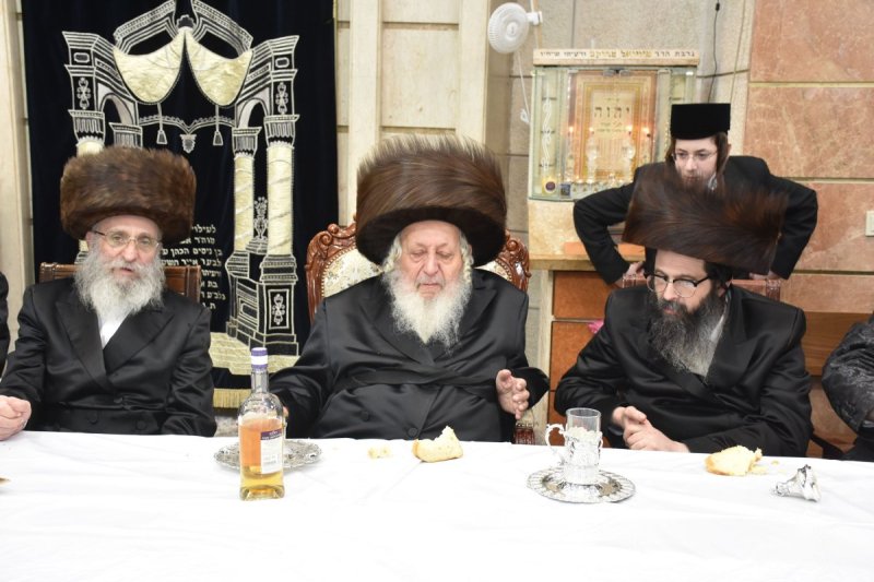 יהודה פרקוביץ