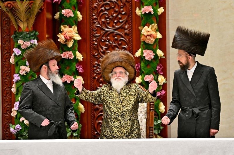 יהושע פרוכטר