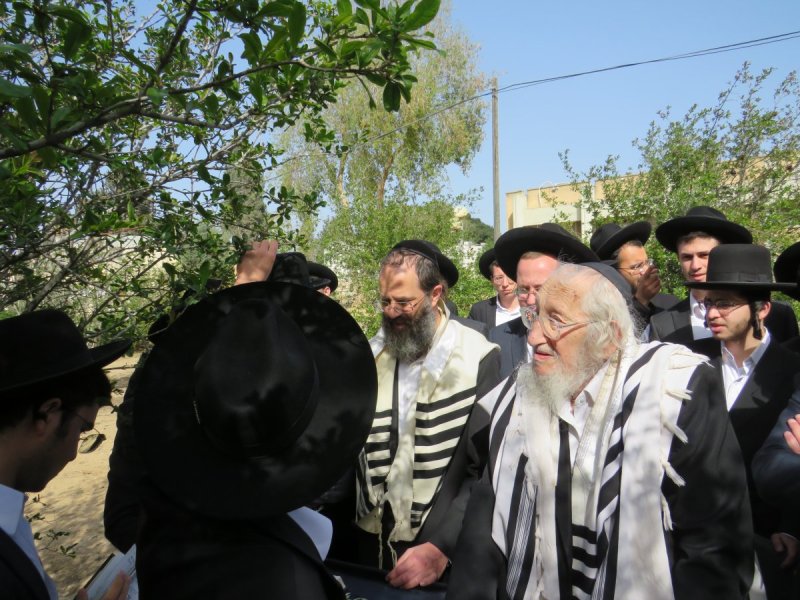 באדיבות המצלם