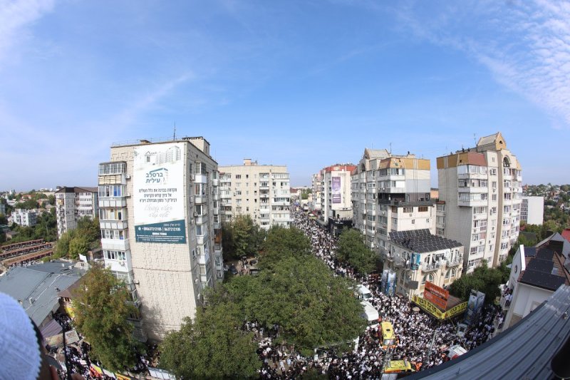 יהודה וויס