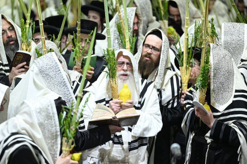 משה גולדשטיין