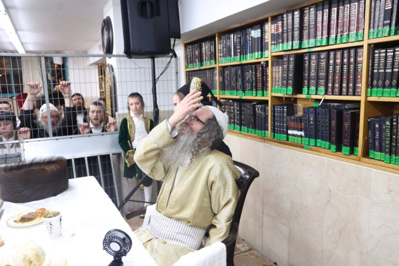 שלומי טריכטר