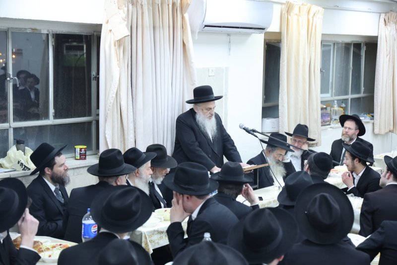 שלומי טריכטר