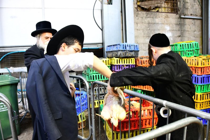 שוקי לרר