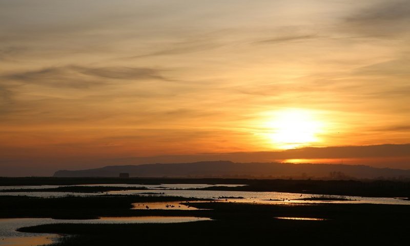 הגשם צפוי להתחדש למערכת קצרה מצפון הארץ ועד הנגב