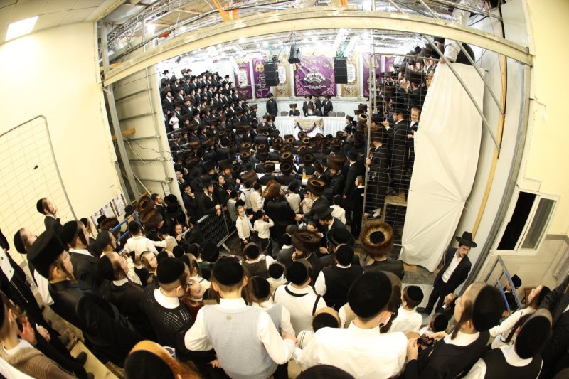 דוד ארזני וארי קופרשטוק