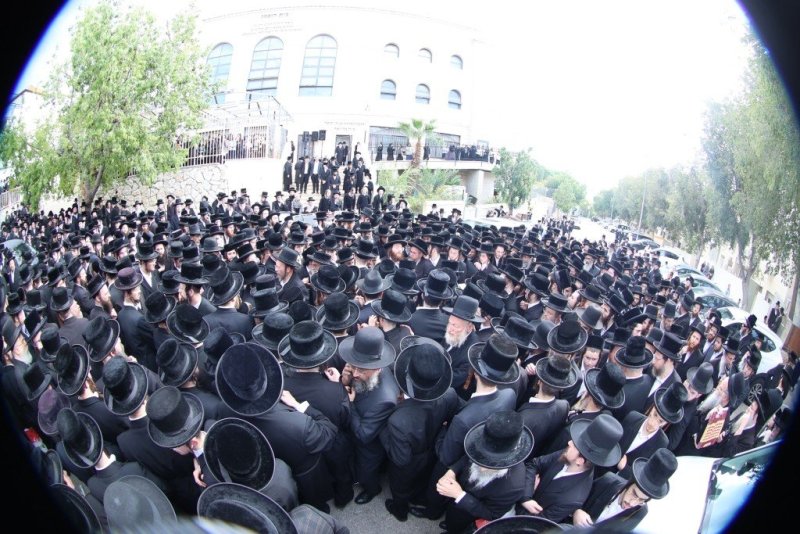 שלומי טריכטר