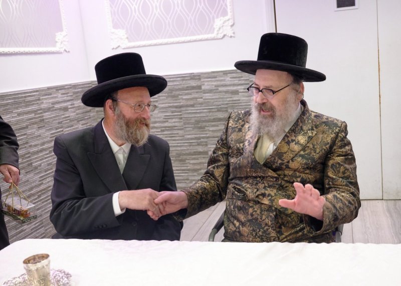 דודי בראון