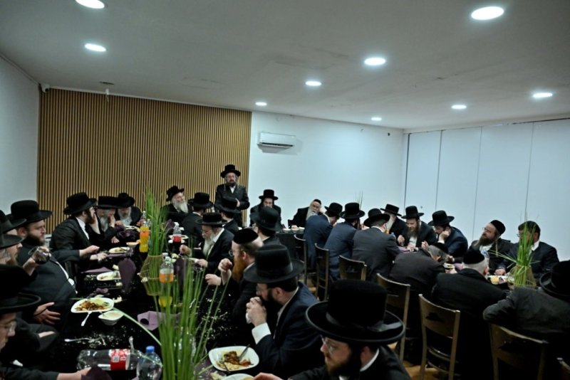 יהושע פרוכטר