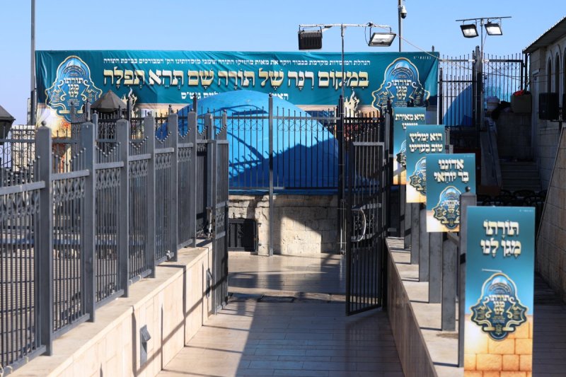 דוד כהן