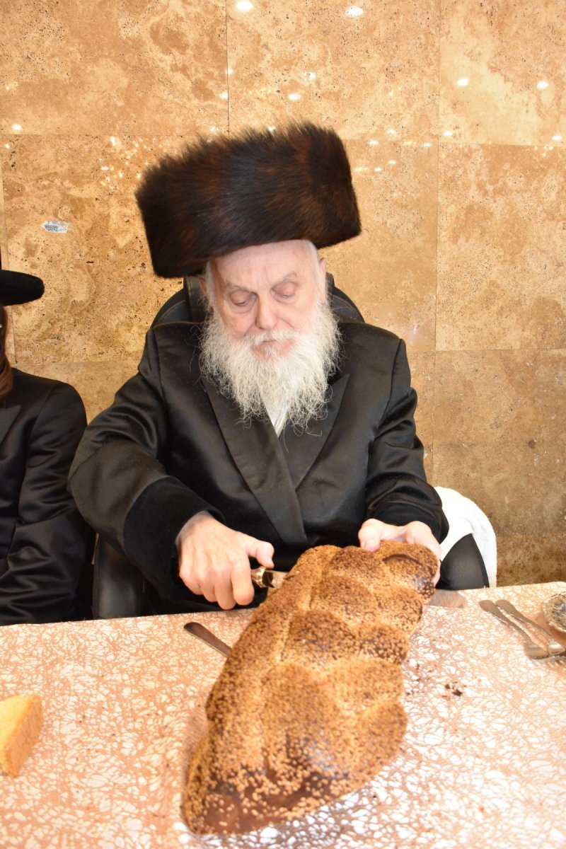 יהודה פרקוביץ
