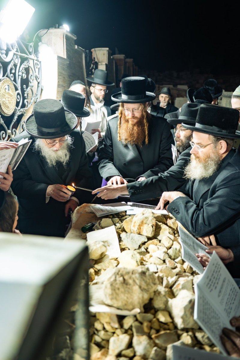 אלקנה קליין