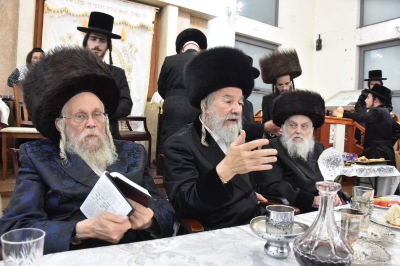 יהודה פרקוביץ