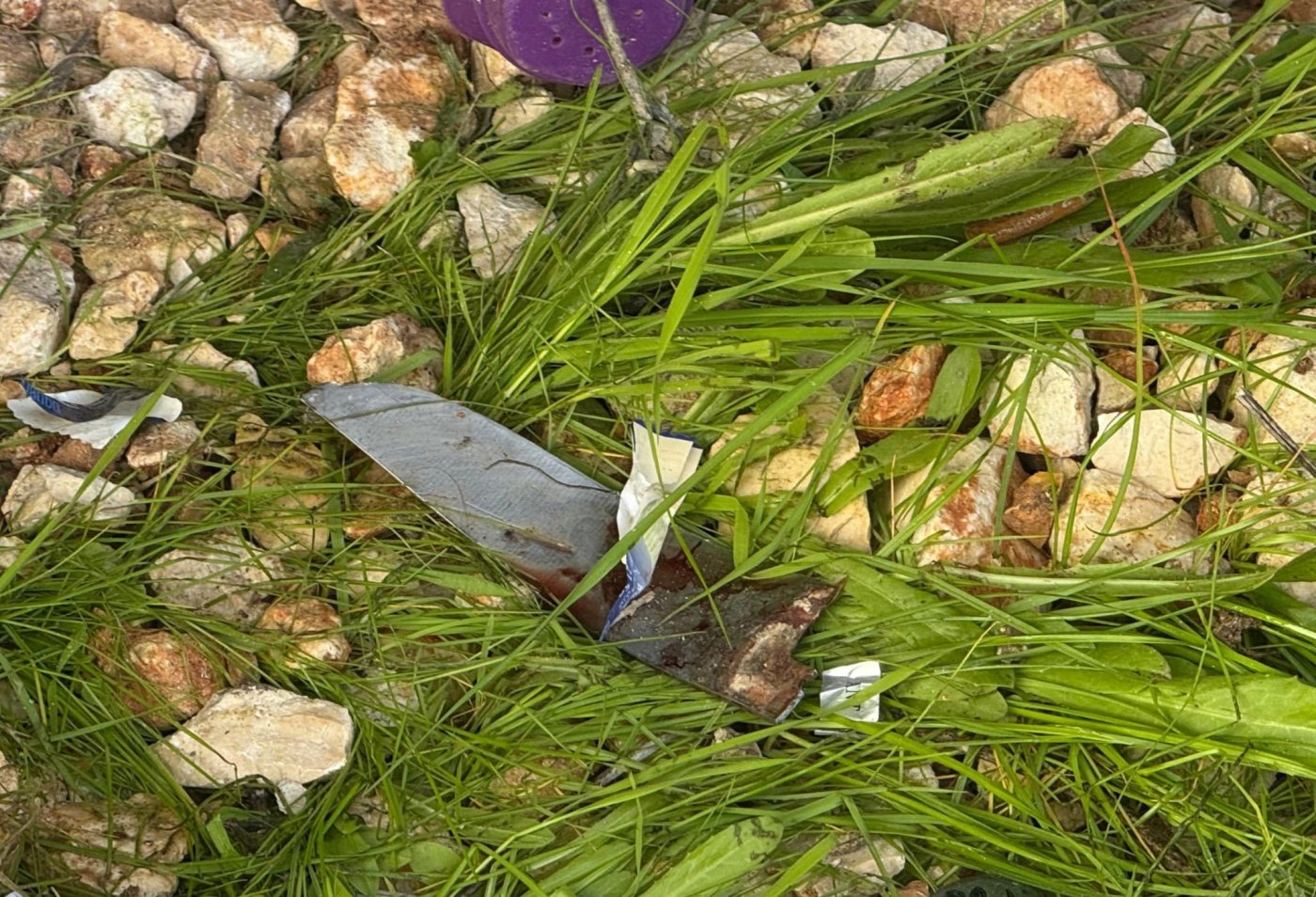 דוברות המשטרה