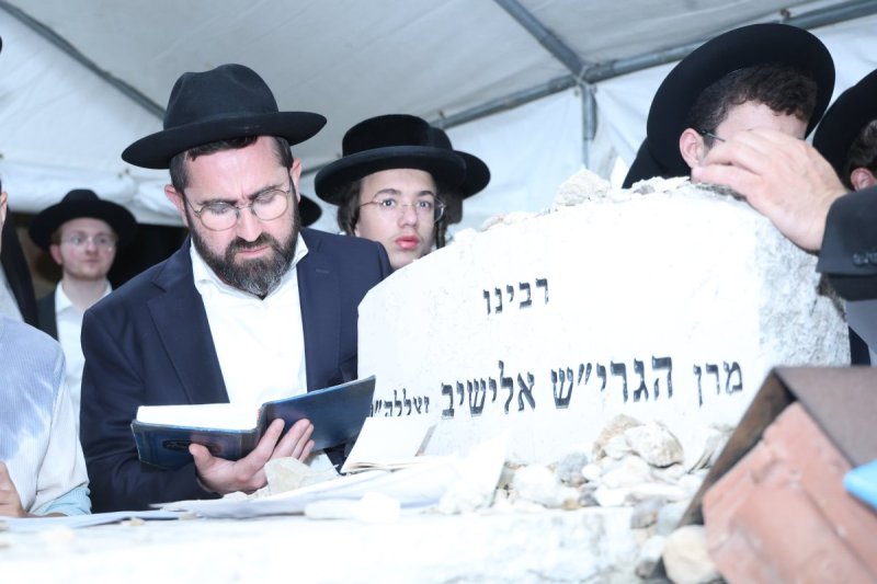 שלומי טריכטר