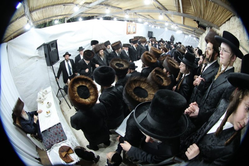 שלומי טריכטר