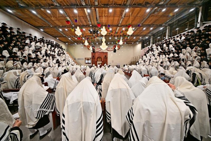 יהושע פרוכטר