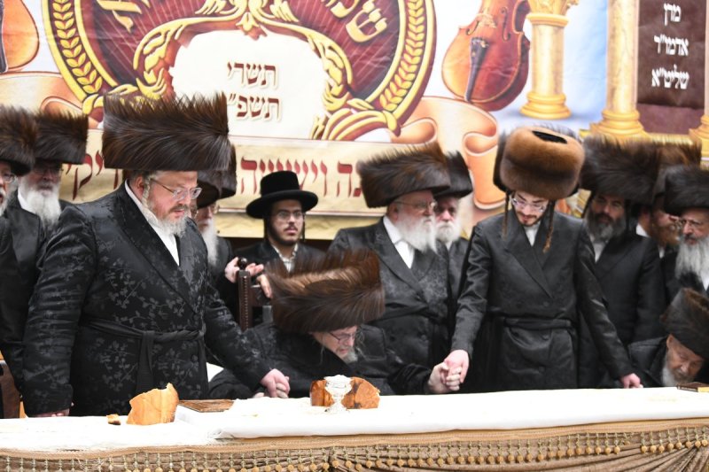 אנשיל בעק
