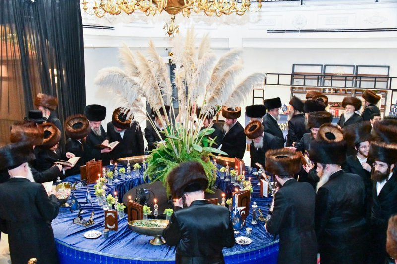 שוקי לרר ואלעזר פיינשטיין