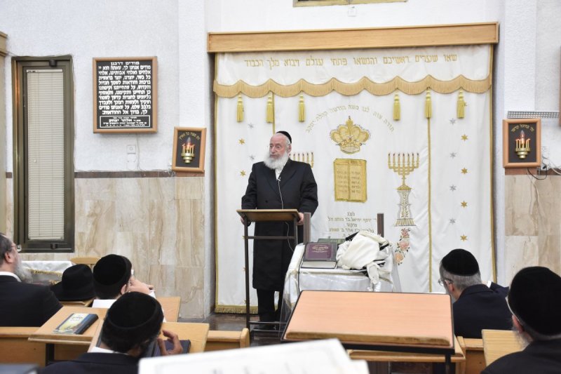 יהודה פרקוביץ