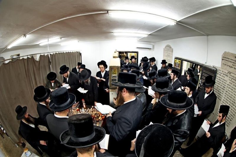 יהושע פרוכטר