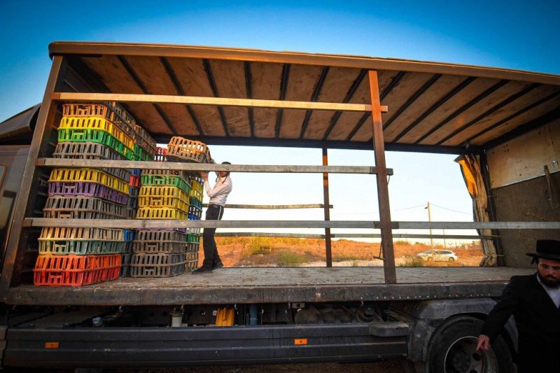 ארי קופרשטוק