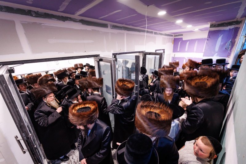 האחים לאנטשעווסקי ואושי וויינגארטן