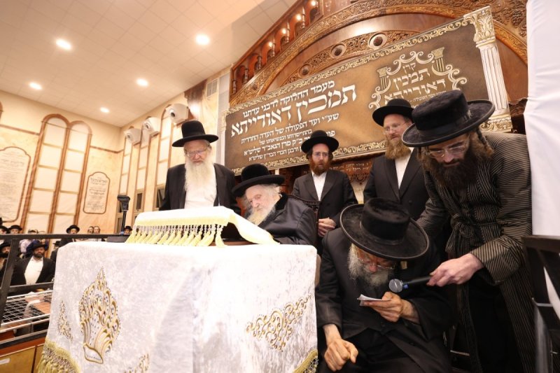 דוד ארזני