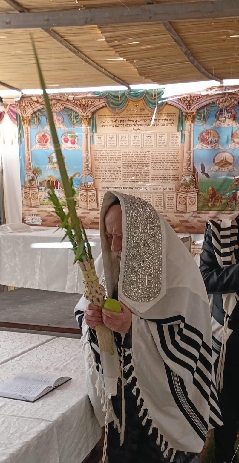 איתי קצב