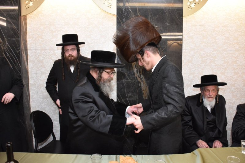 יהודה פרקוביץ