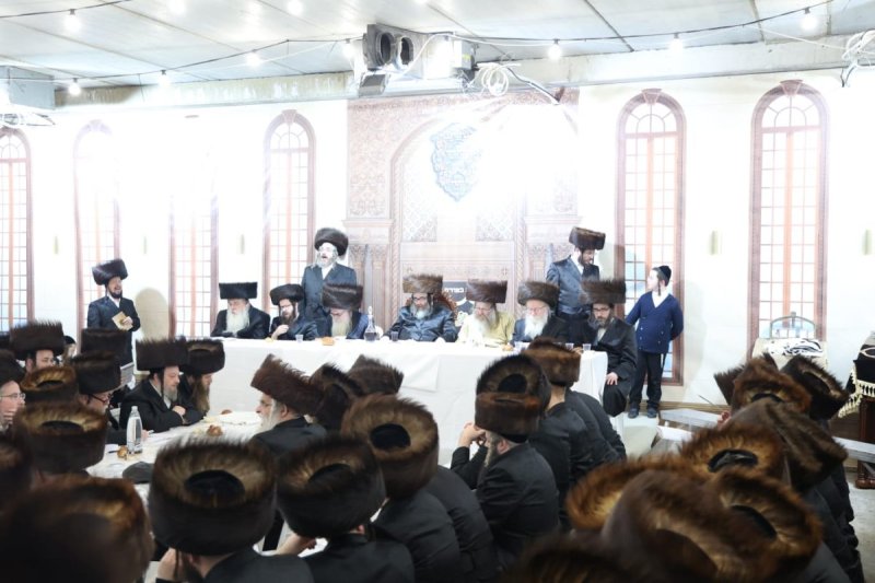 שלומי טריכטר