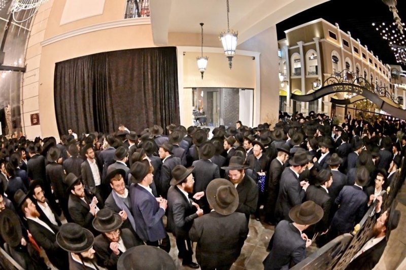 יהושע פרוכטר