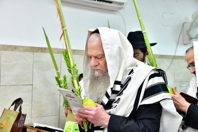 שוקי לרר