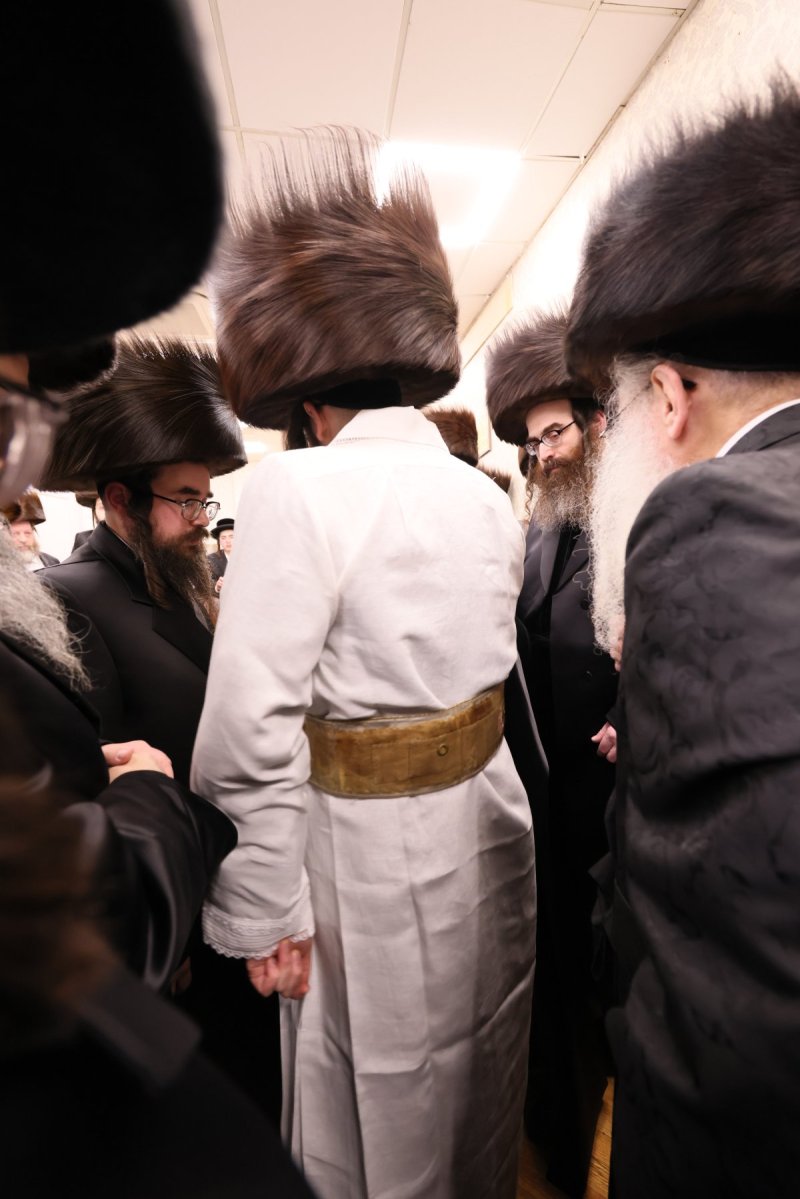 שלמה ב.