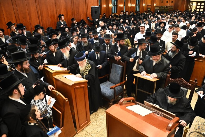 שוקי לרר