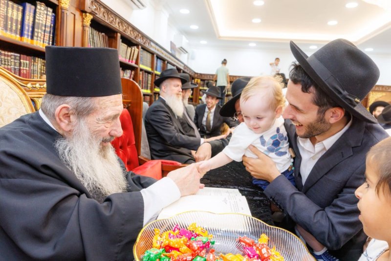 אלעזר פיינשטיין