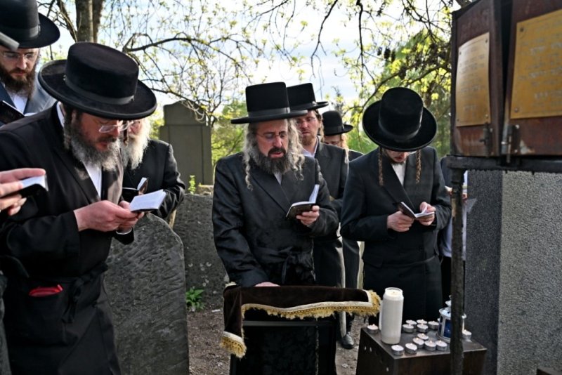 יהושע פרוכטר