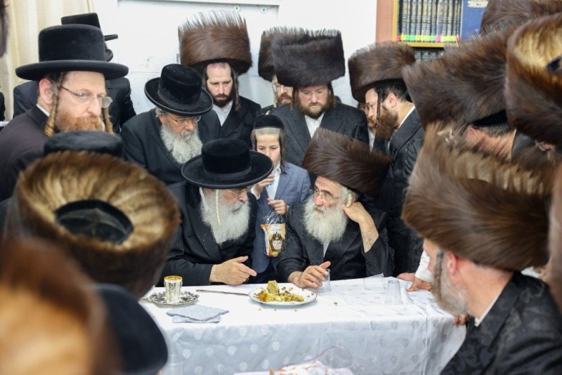 באדיבות המצלם