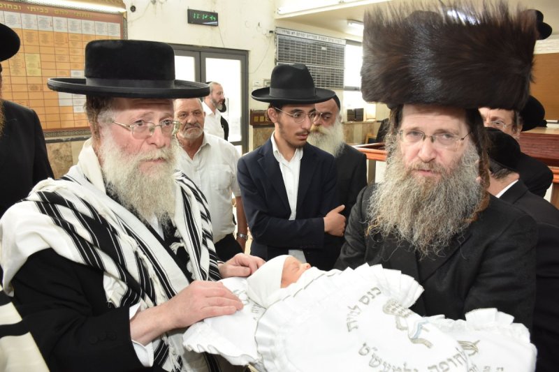 יהודה פרקוביץ