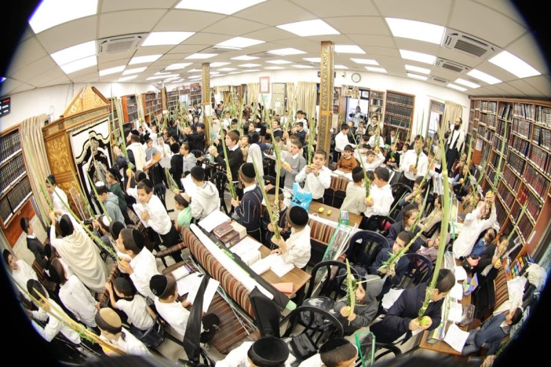 שלומי טריכטר ומ.פ